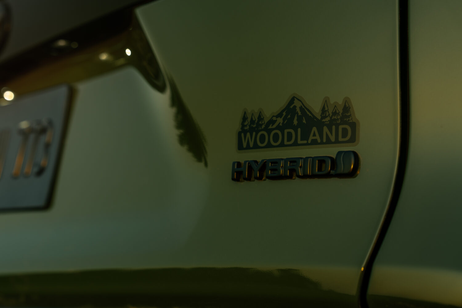 2024 Toyota RAV4 Woodland