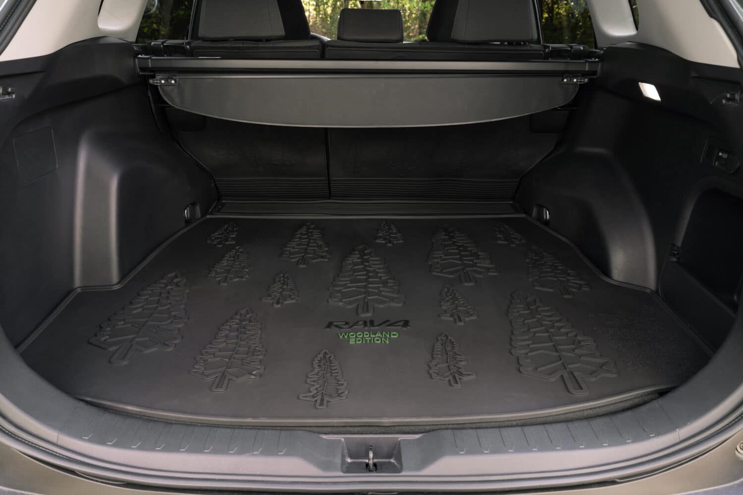 2024 Toyota RAV4 Woodland cargo space