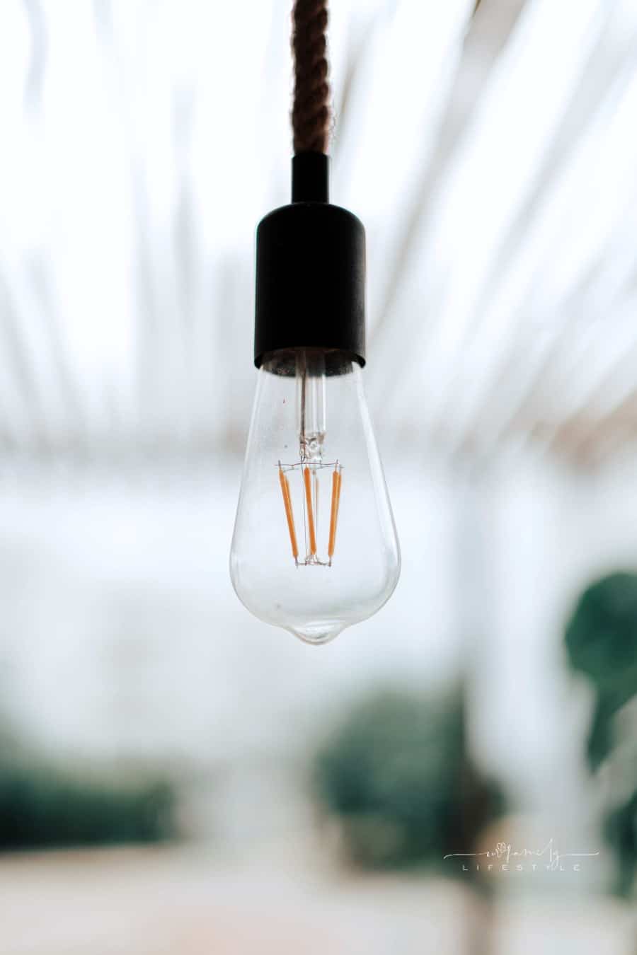 Light bulb hanging on outdoor patio
