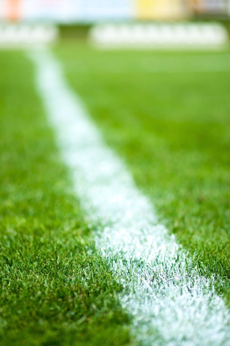 white painted line on green fooball field