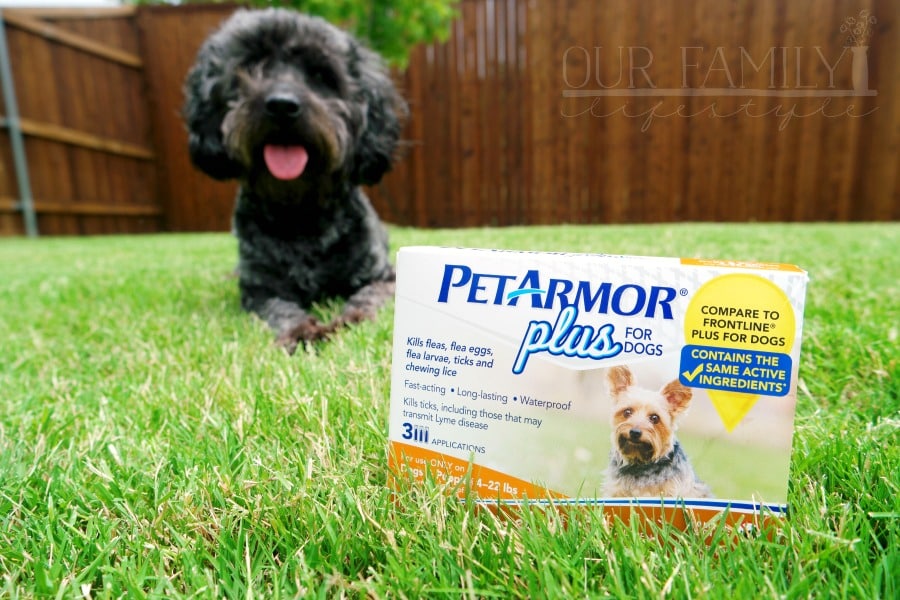 PetArmor Plus for Dogs