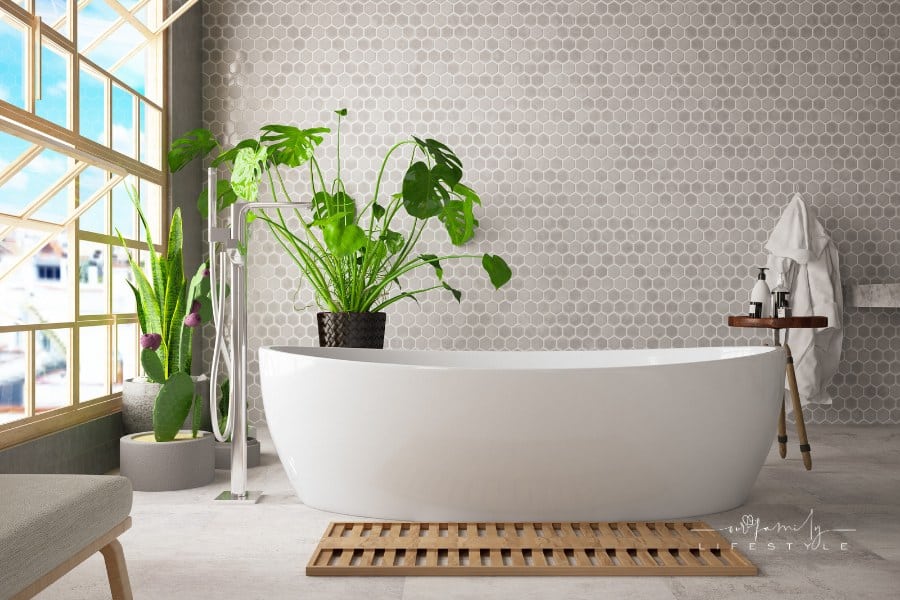 Modern Bathroom Bathtub