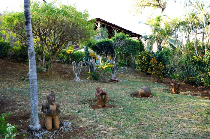 rancho armadillo estate