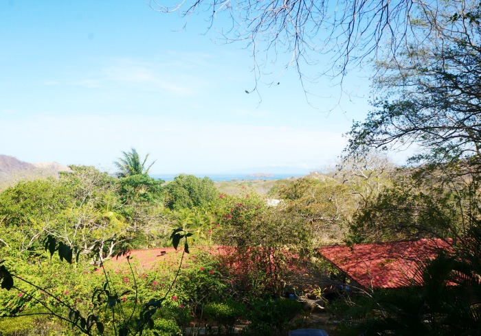 rancho armadillo ocean view