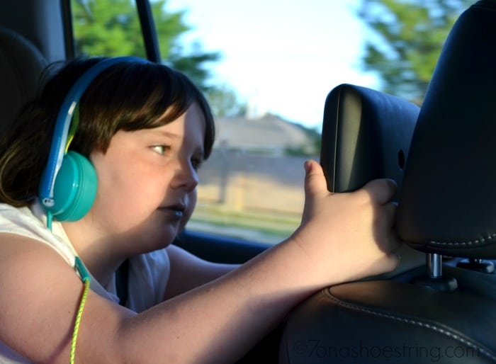 rear DVD system