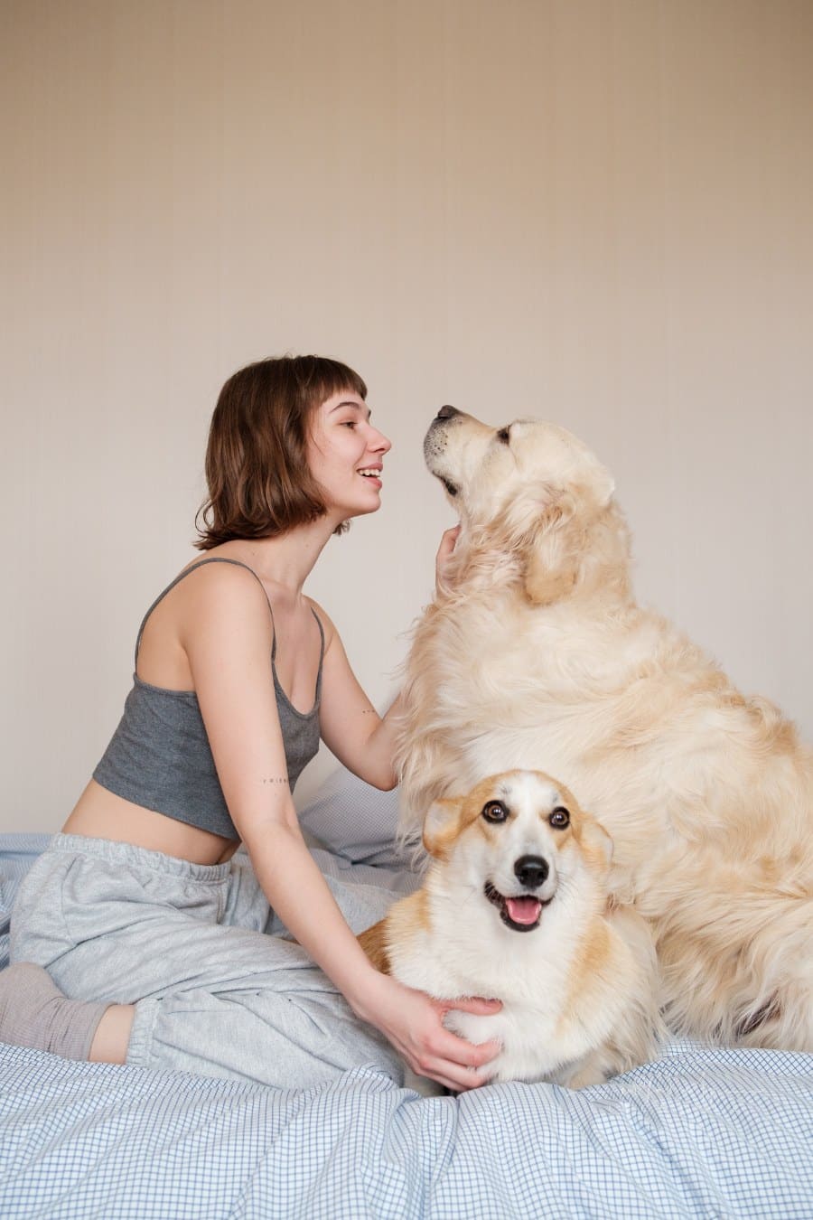 woman looking at big dog while petting a smaller one beside her