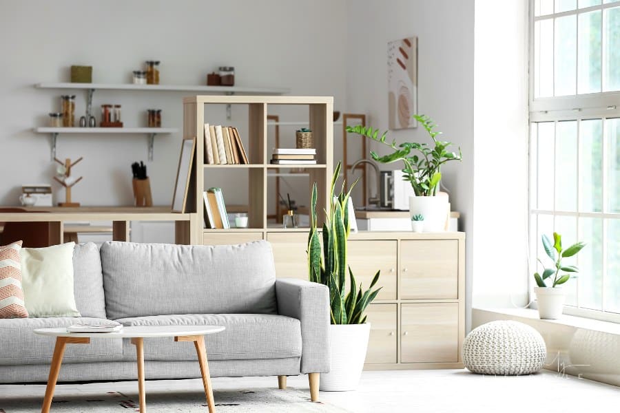 Stylish Bookshelf with Comfy Sofa in Living Room