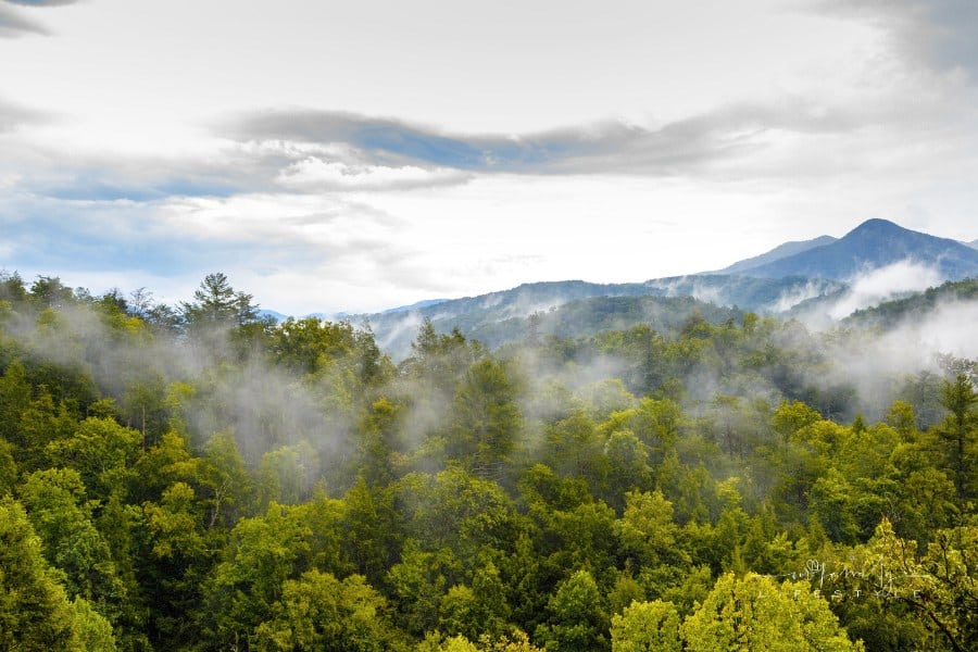 Great Smoky Mountains National Park