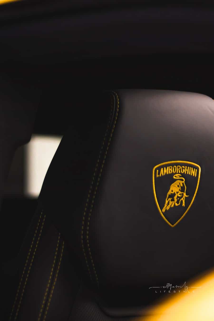 Black and Yellow Lamborghini Car Seat