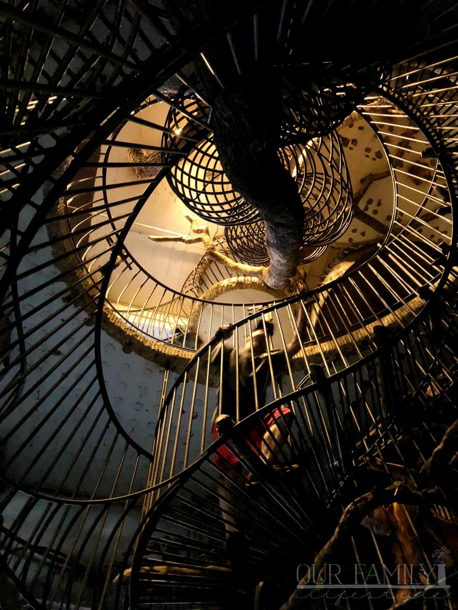The City Museum indoor climbing
