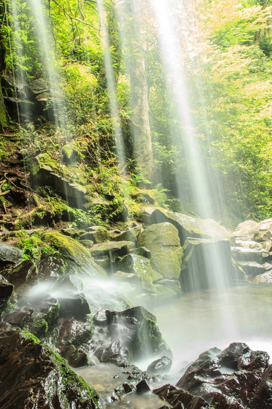 Grotto Falls, Great Smoky Mountain National Park