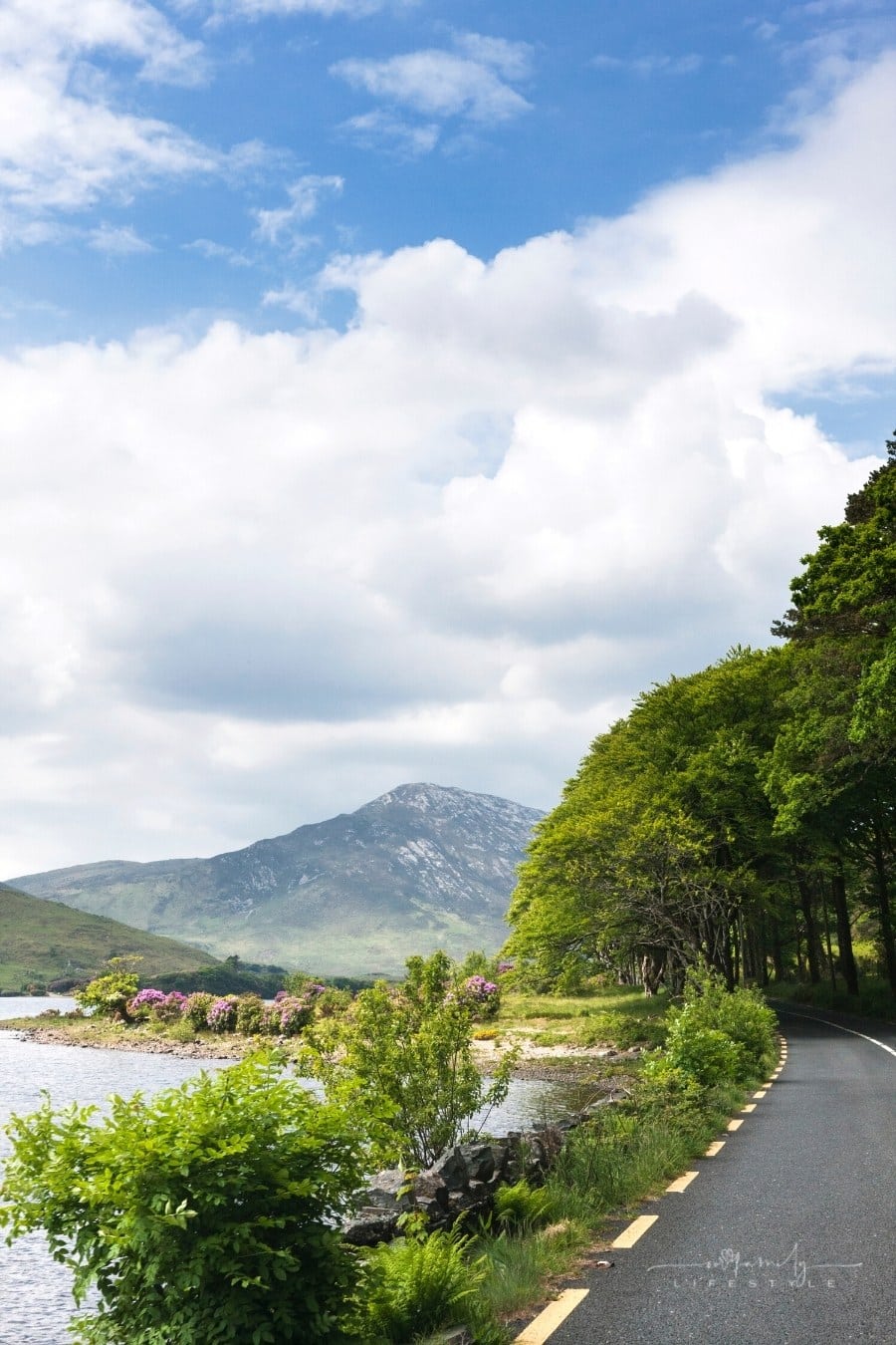 Ring of Kerry Ireland