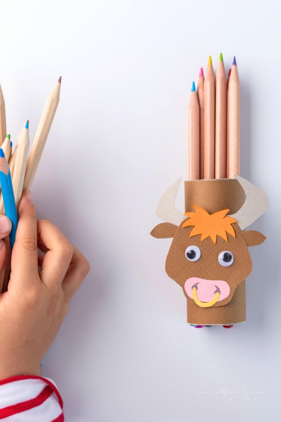 ox or bull toilet paper roll craft concept for kid and kindergarten, year of the ox, how to make bull, step by step instruction, tutorial, DIY, project pencil stand idea