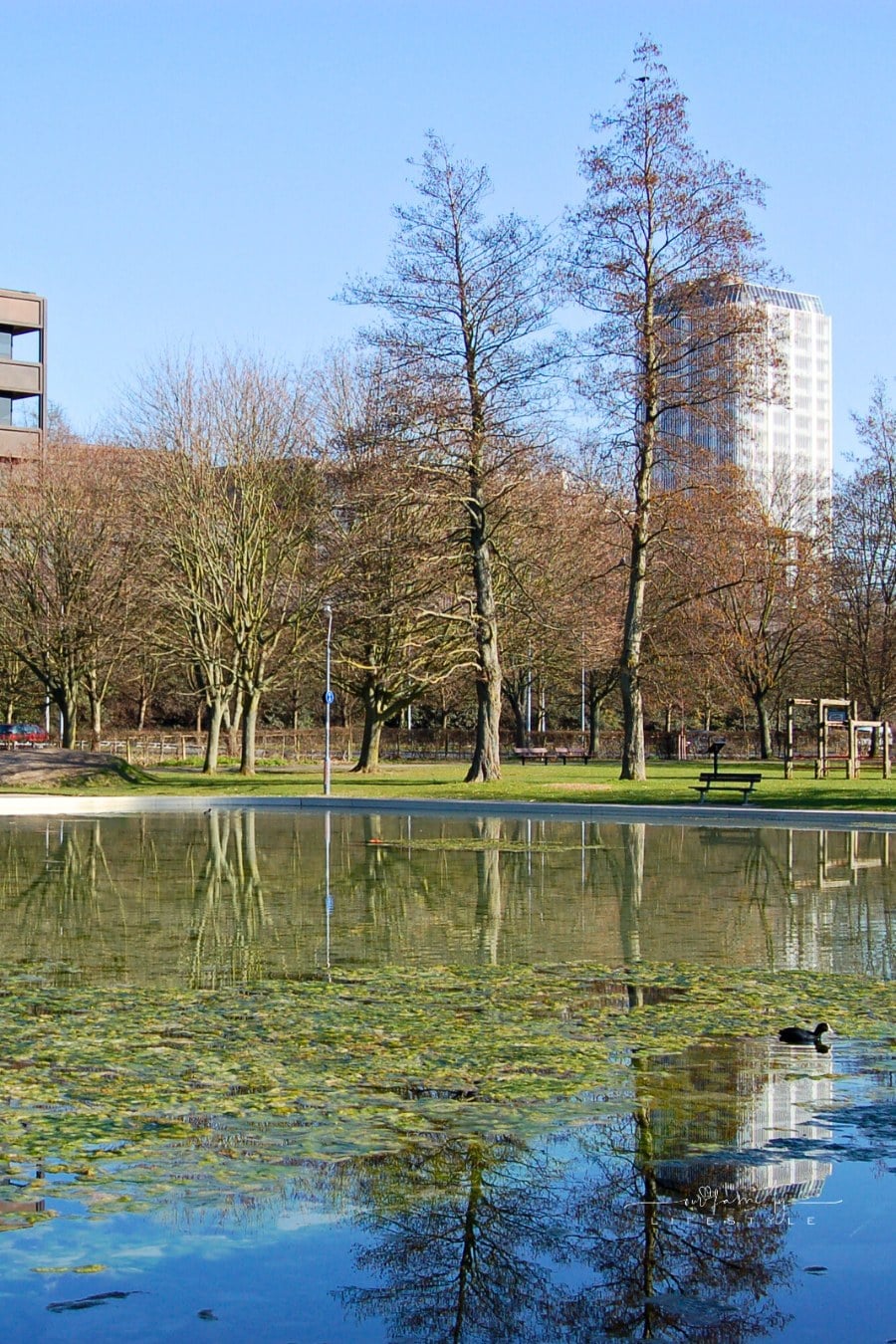 Eastrop Park, Basingstoke