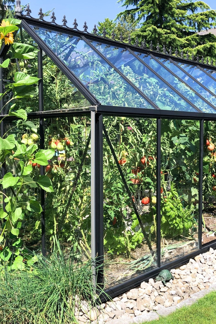 glass greenhouse