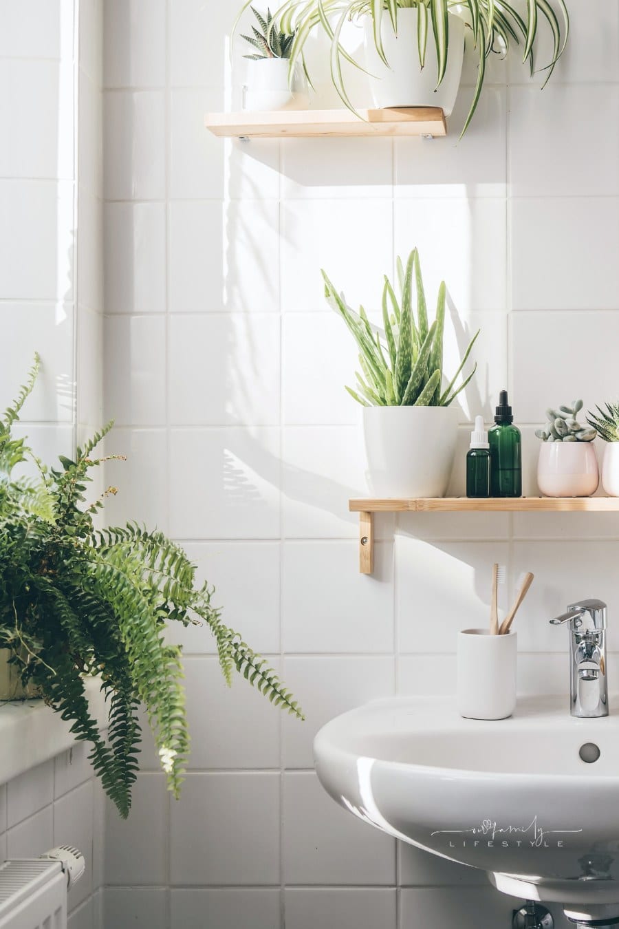 Modern White Bathroom with Many Green Plants