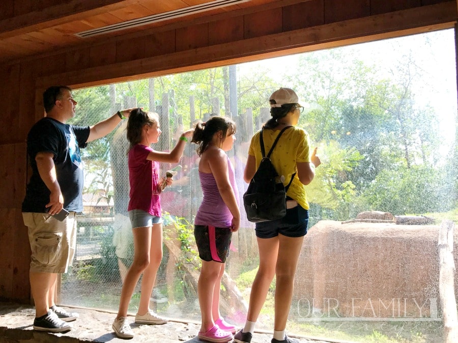 visit to Oklahoma City Zoo