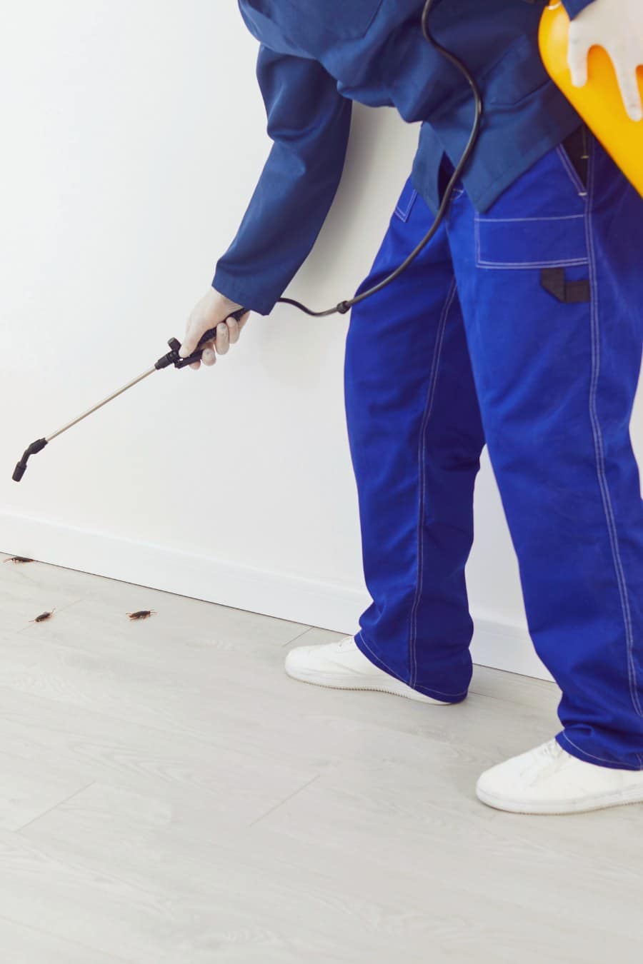 Pest Control Worker Spraying Home with Insecticide to Eradicate Cockroaches