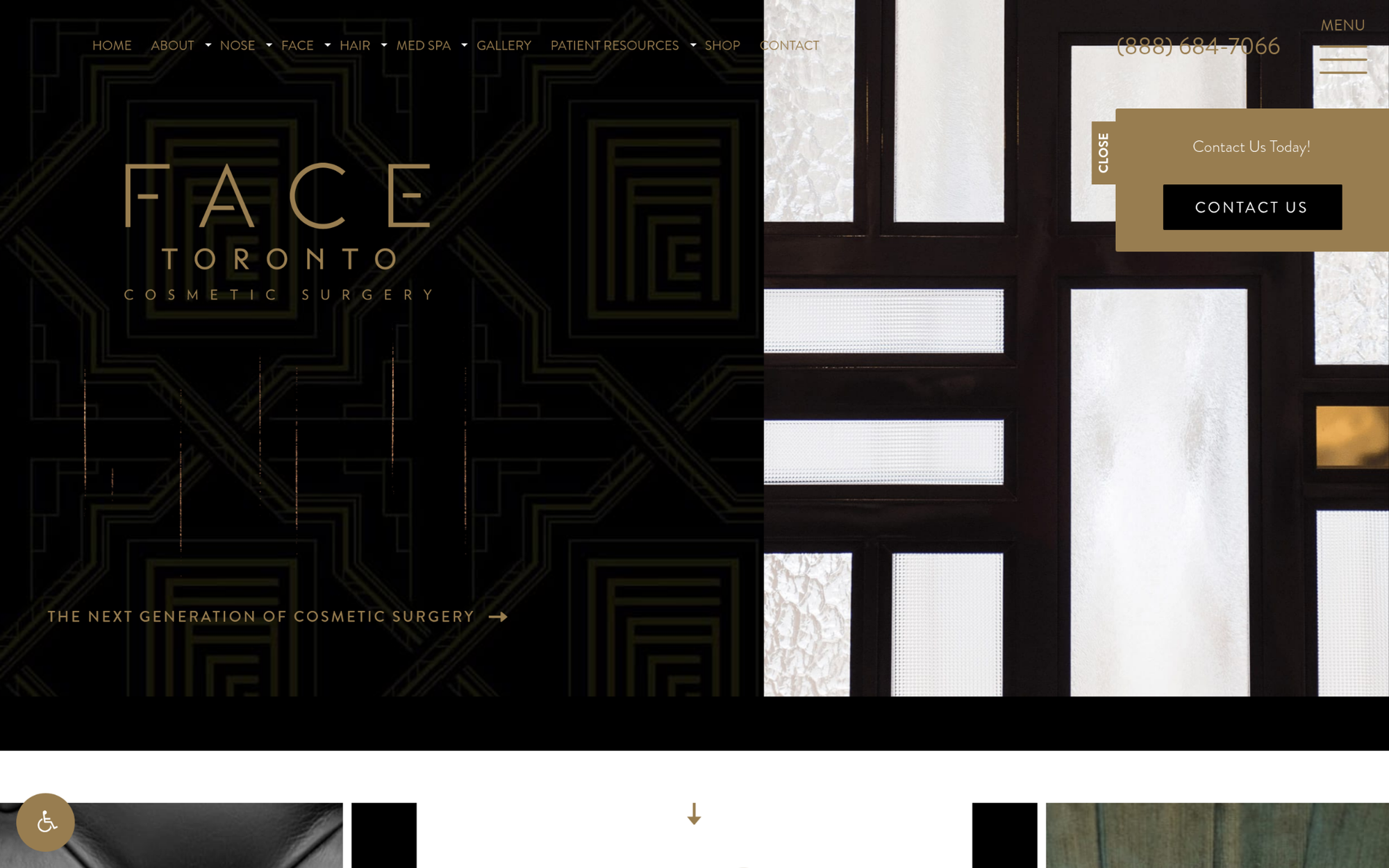 Face Toronto Screenshot