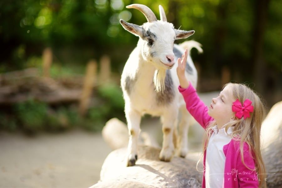 6 Interesting Places You Can Visit With Your Children — They'll Love It
