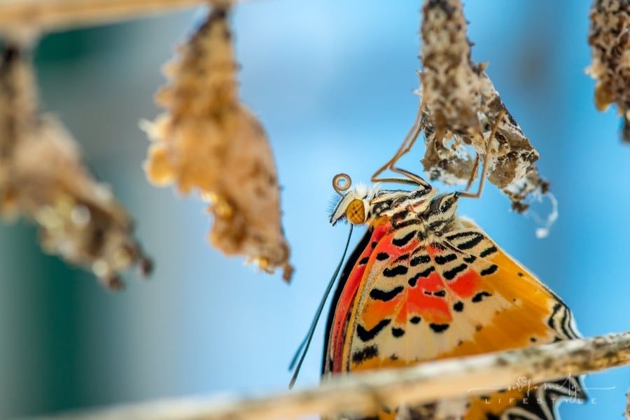 3 Reasons Not to Be Afraid of Change