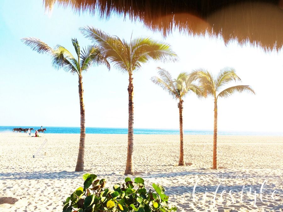 Benefits of an All-Inclusive Resort with Holiday Inn