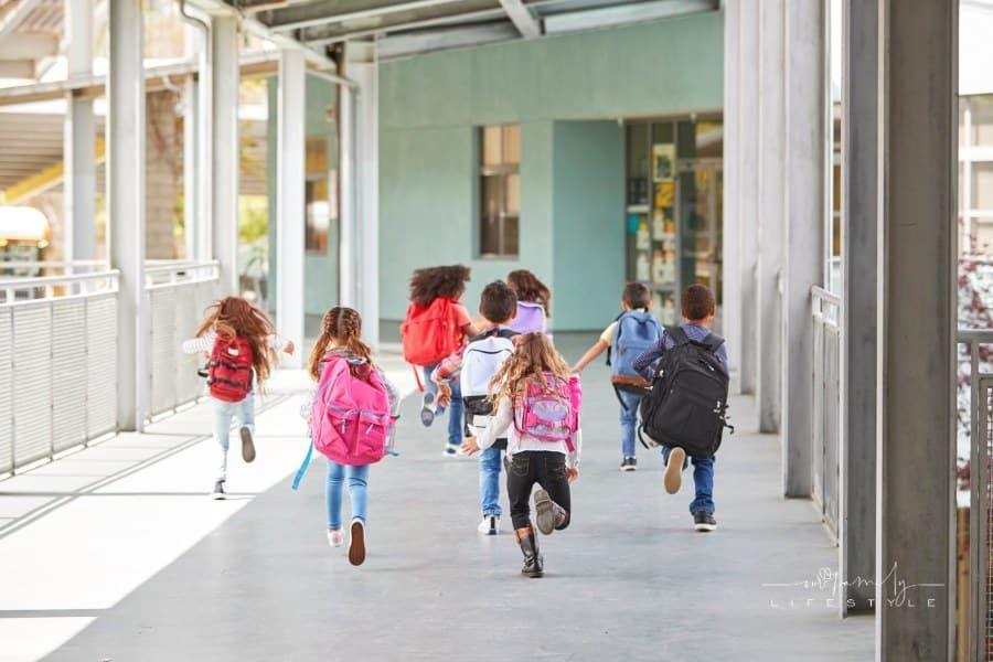 Best Backpacks for Back-to-School Season: A Guide for Every Grade and Style