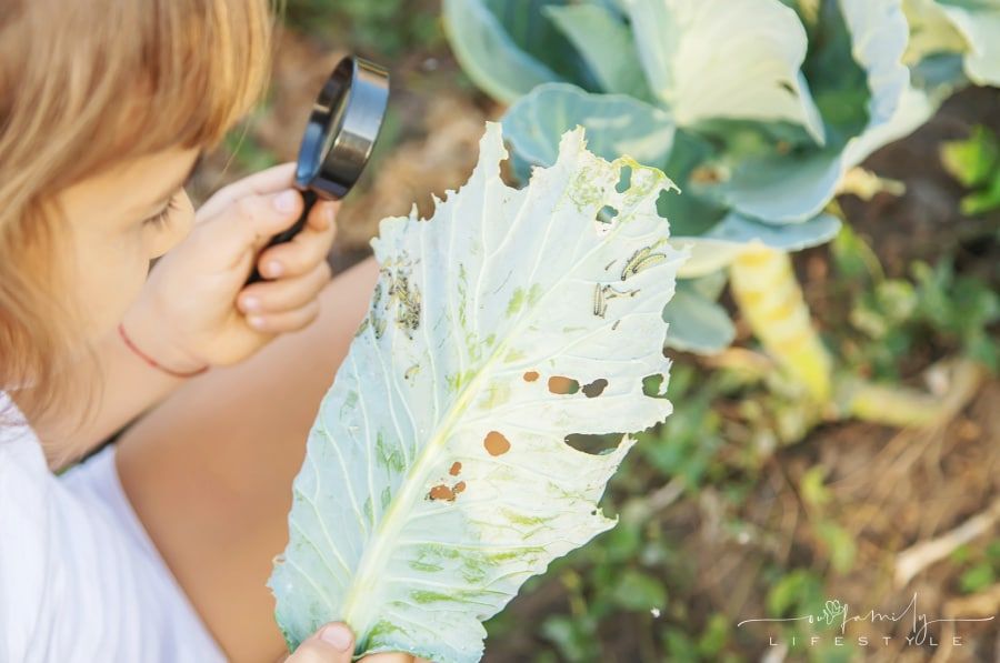 Nature Scavenger Hunt for Kids // Free Printable