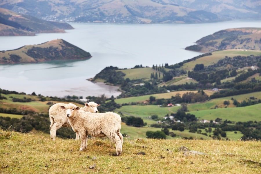 10 Amazing Countries That Will Pay You to Move There