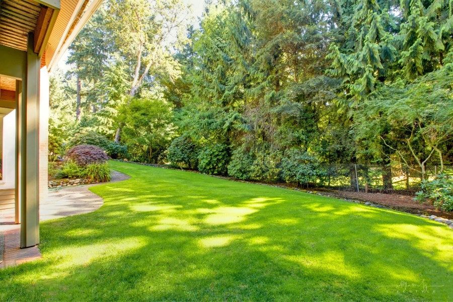 Creating a Safe Garden Environment for Your Children