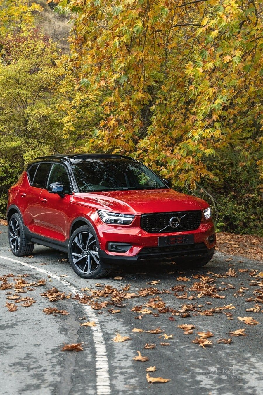 Do Volvos Make Good Family Cars?