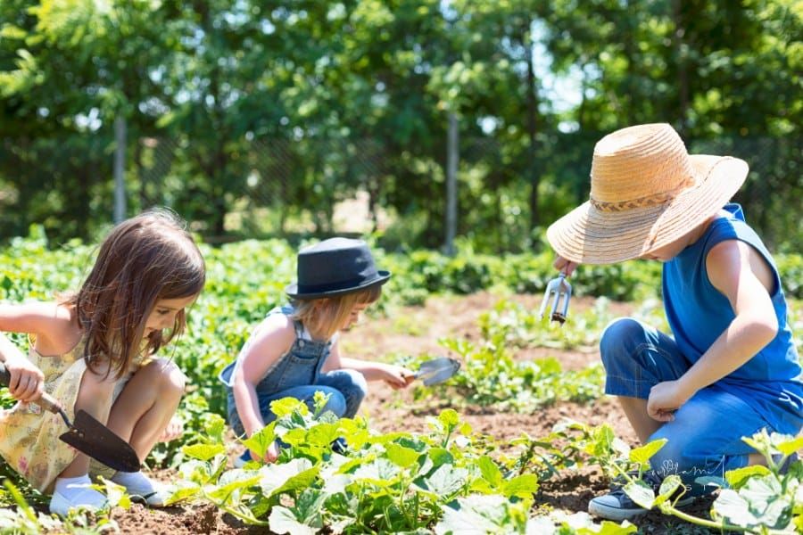 Embracing Sustainable and Eco-Friendly Parenting: Tips for Green Living