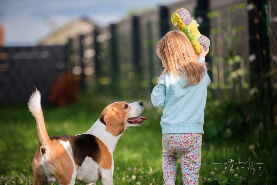 Best Grass Types for Homes with Kids and Pets