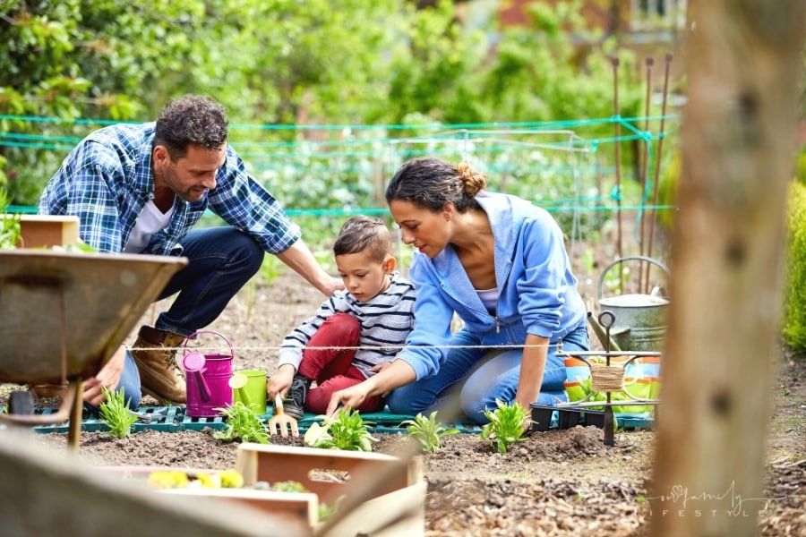 How To Design A Simple Food Garden: A Family-Oriented Guide