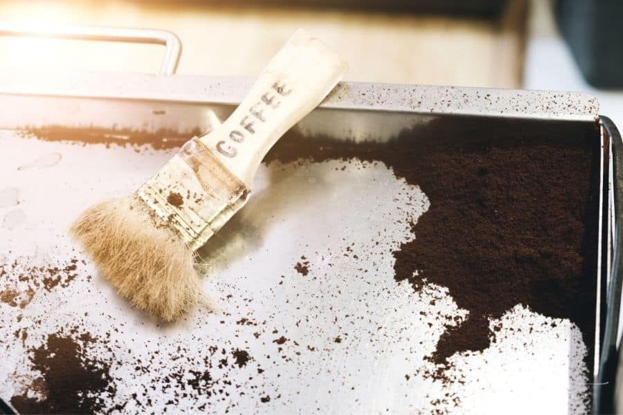 Say Goodbye to Summer Bugs: 10 Simple Ways to Keep Your Home Bug-Free