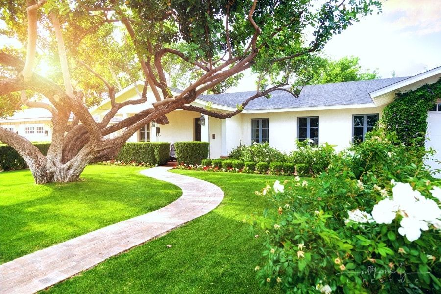 You Have Plants And Trees In Your Garden? Here's How To Nourish Them