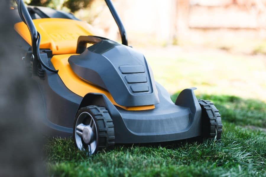 Seasonal Yard Cleanup: How to Select the Right Equipment