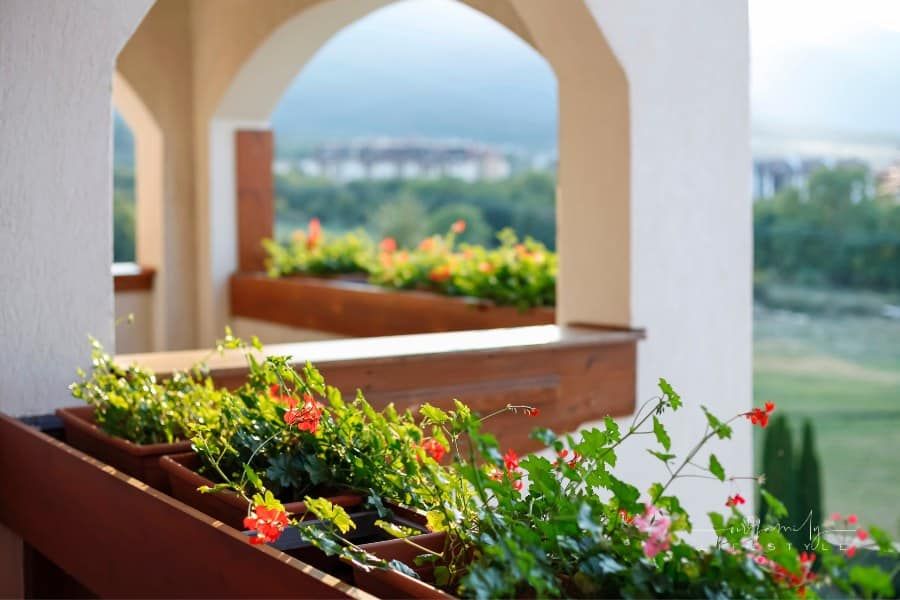Transforming Outdoor Spaces