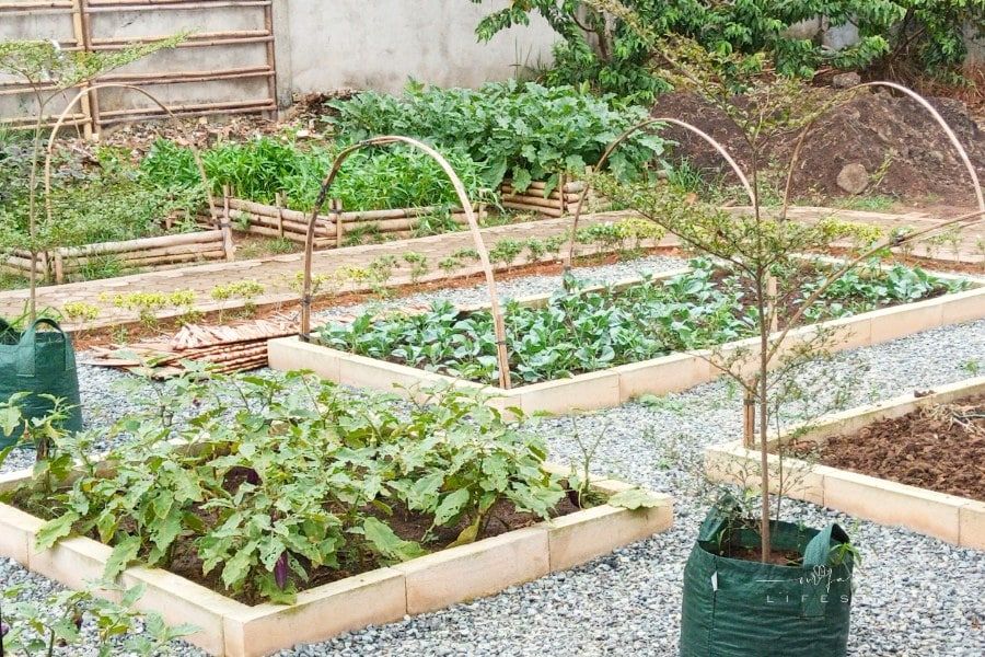 Importance Of Urban Farming In Promoting Sustainability And Food Security