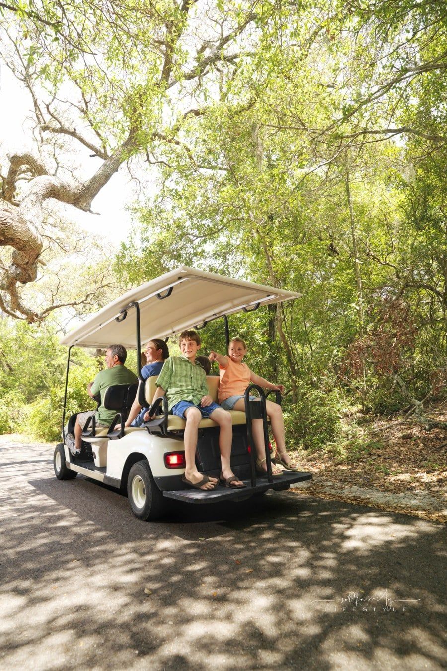 Buying vs. Renting Golf Carts: Best Option for Seasonal Residents