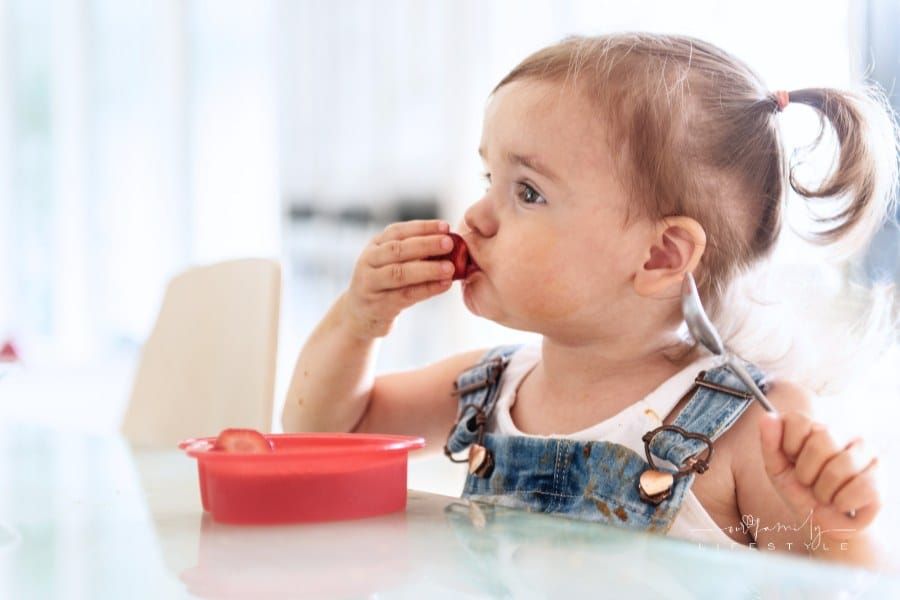 Momcozy DinerPal High Chair: The Evolving Solution for Every Mealtime