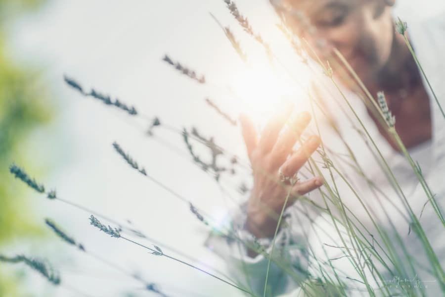 The Power of Gratitude: How to Cultivate a Thankful Heart