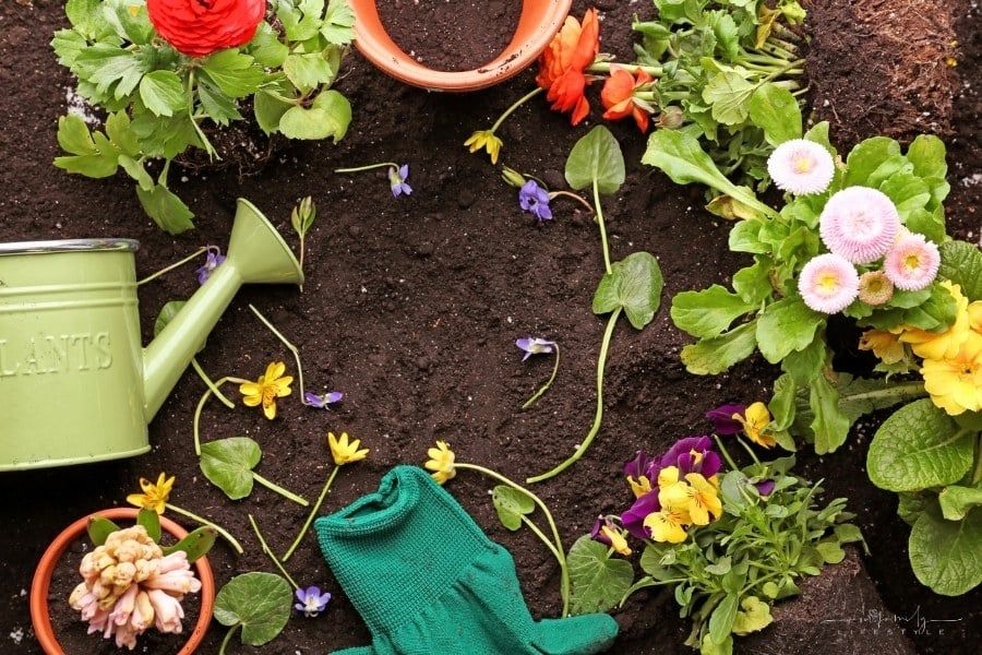 Prepare Your Garden for the Family to Enjoy this Spring