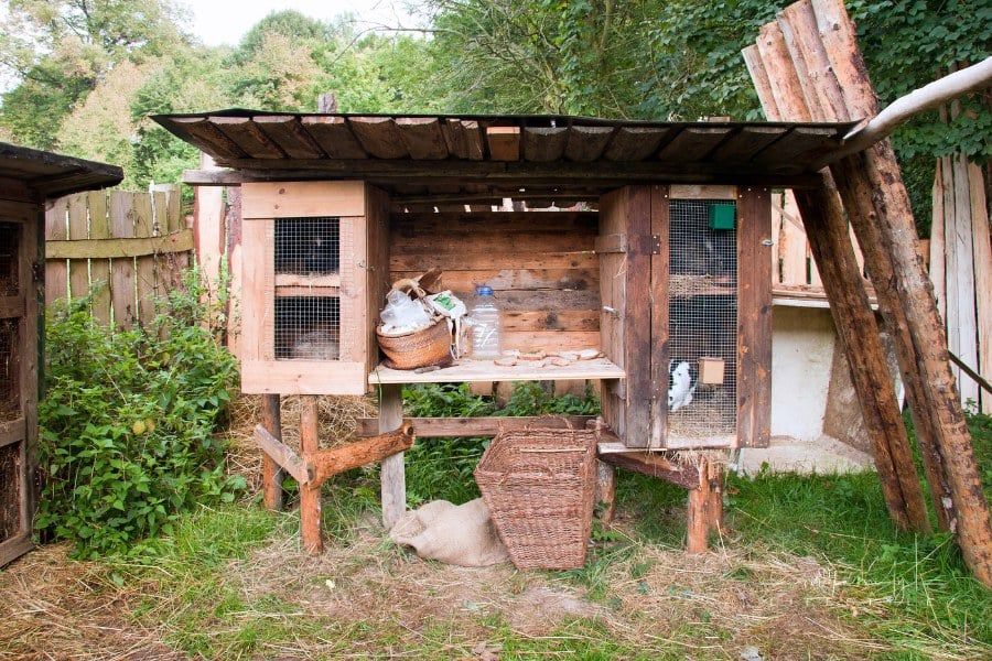 How to Calculate Rabbit Hutch Size Requirements