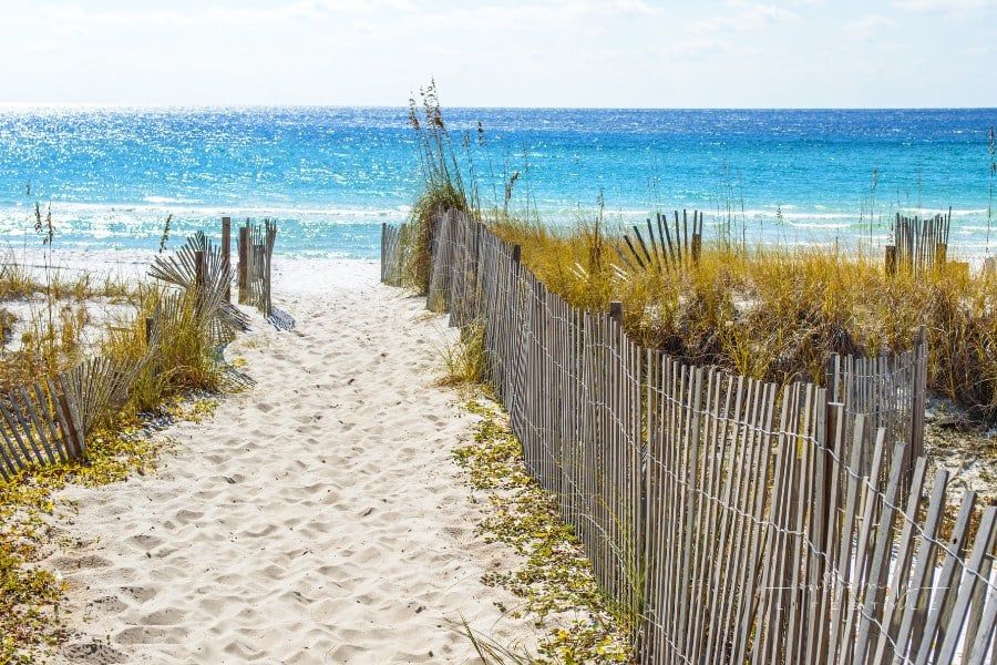 4 Reasons You Need to Take Your Family to Gulf Shores
