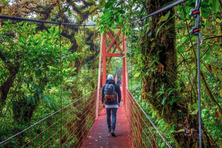 Sustainable Tourism in Monteverde: A Deep Dive into Eco-Friendly Tours