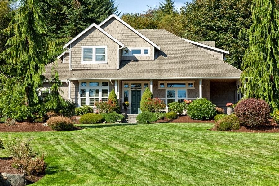 How to Take Proper Care of Your Family's Home Lawn
