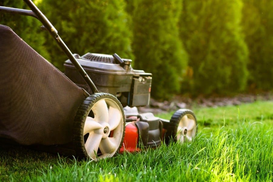 Essential Things to Consider Before Starting a Landscaping Business