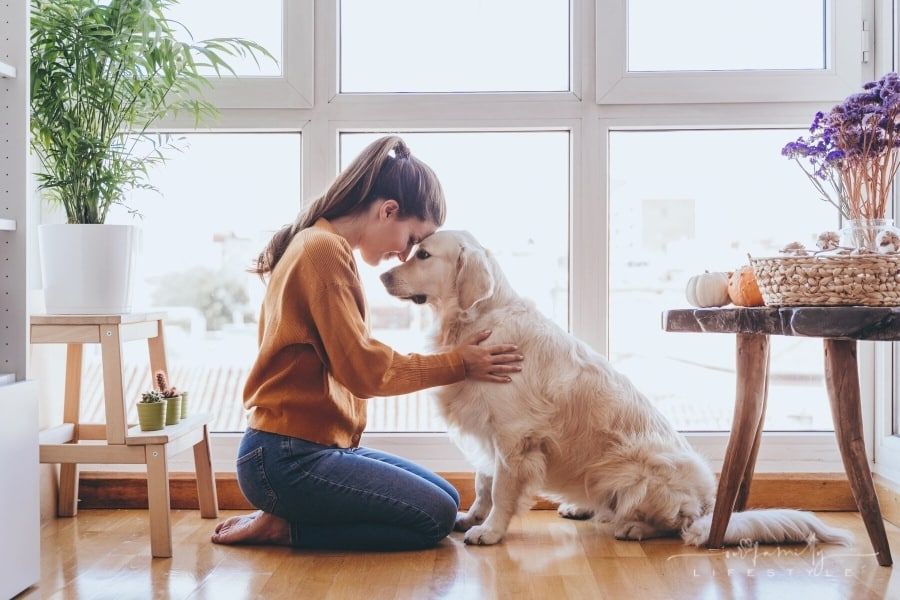 10 Tips To Lower Your Stress Levels