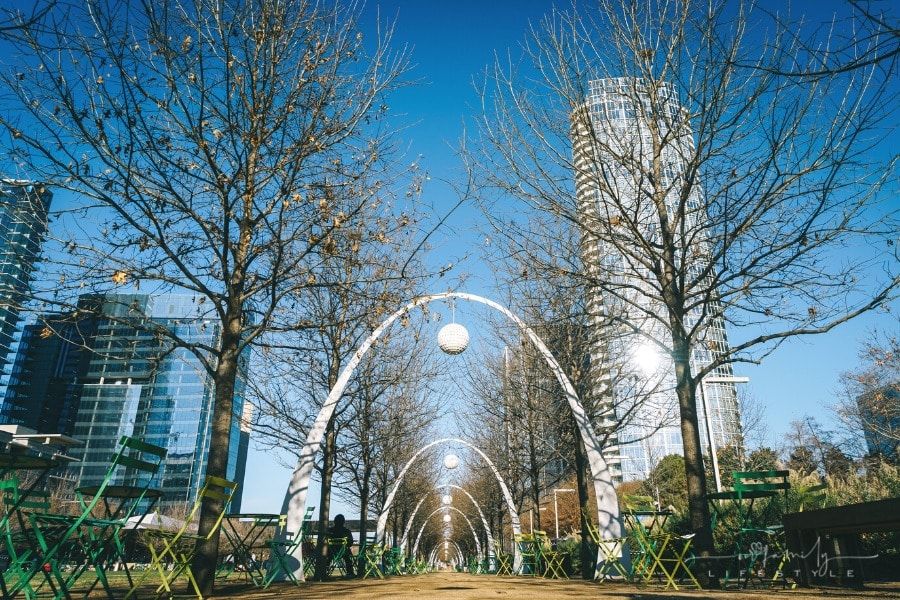 Travel Guide: Top 6 Reasons To Visit Dallas